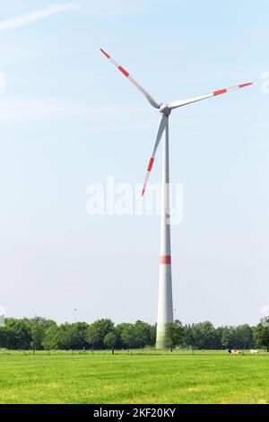 Portrait d'un grand moulin à vent moderne se tenant entre les prairies et les vaches à la campagne pour générer de l'énergie du vent. Cette turbine est un éco Banque D'Images