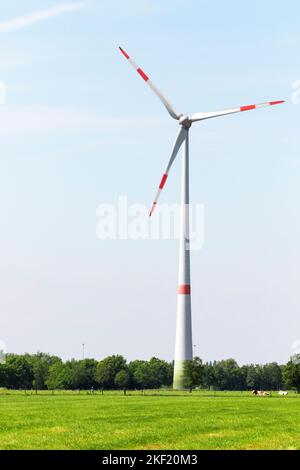 Portrait d'un grand moulin à vent moderne situé entre les prairies et les vaches à la campagne pour produire de l'électricité à partir du vent. Cette turbine est un Banque D'Images