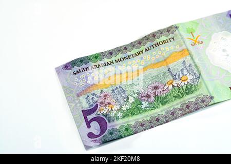 Face arrière du nouveau polymère 5 SAR cinq Riyals Arabie Saoudite argent liquide billets de banque série 1441 AH 2020 présente un champ de fleurs, foc sélectif Banque D'Images