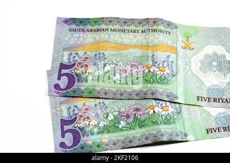 Face arrière du nouveau polymère 5 SAR cinq Riyals Arabie Saoudite argent liquide billets de banque série 1441 AH 2020 présente un champ de fleurs, foc sélectif Banque D'Images