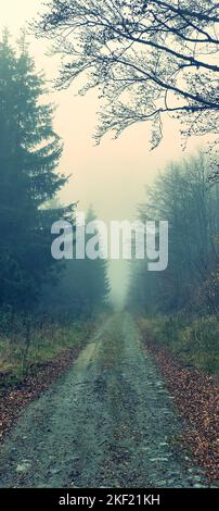 Une photo verticale de la route à travers une forêt brumeuse Banque D'Images