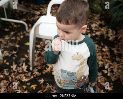 jeune garçon jouant dans l'arrière-cour par une chaude journée à la fin de l'automne Banque D'Images