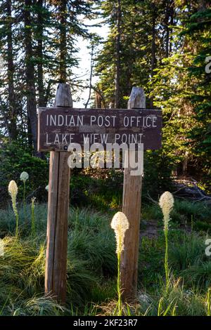 Matin à Indian Post Office, le long de la Lolo Trail, Clearwater National Forest, Idaho, Etats-Unis. Banque D'Images