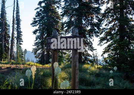 Matin à Indian Post Office, le long de la Lolo Trail, Clearwater National Forest, Idaho, Etats-Unis. Banque D'Images