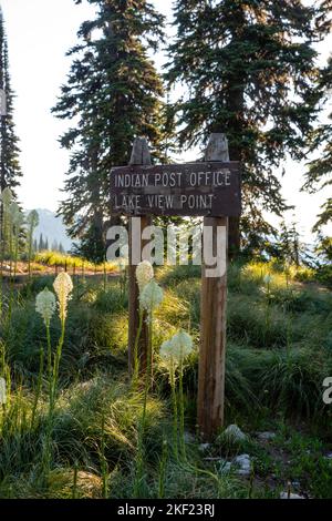 Matin à Indian Post Office, le long de la Lolo Trail, Clearwater National Forest, Idaho, Etats-Unis. Banque D'Images