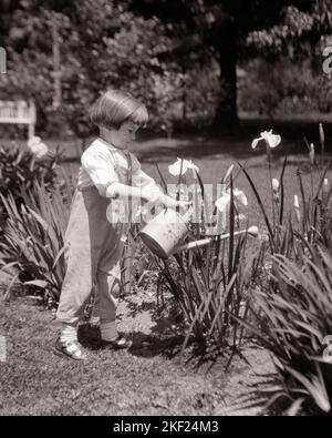 1920S ARROSAGE JEUNE GARÇON JARDIN DE FLEURS IRIS PLANTES DANS COUR ENSOLEILLÉE - G104 HAR001 HARS ORGUEIL ARROSER LES JARDINS DE LA CROISSANCE ÉLÉGANTE IRIS JUVÉNILES SANDALES NOIR ET BLANC FLORAISON CAUCASIENS ETHNIE HAR001 TENDANCE À L'ANCIENNE Banque D'Images