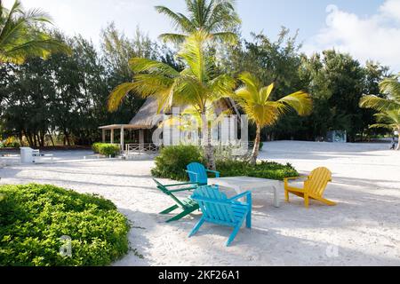 Chaises sur la plage sur la côte des Caraïbes. Banque D'Images