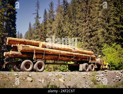 1960S CAMION À GRUMES DANS LE SITE DE BÛCHERONS OREGON USA - KI1675 SHE001 HARS NORD-OUEST SOUTIEN FIRS FORESTIÈRE DÉBOISEMENT BOIS OREGON NORD-OUEST À L'ANCIENNE Banque D'Images