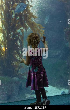 La jeune fille apprécie les merveilles de l'aquarium Banque D'Images