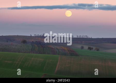 Une pleine lune s'élève sur le paysage pastoral coloré du district de Hodonin en Moravie du Sud, République tchèque. Banque D'Images