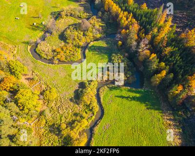 Étroit ruisseau méandres dans le paysage automnal. Prairies d'herbes vertes et arbres colorés. Vue aérienne du drone. Banque D'Images