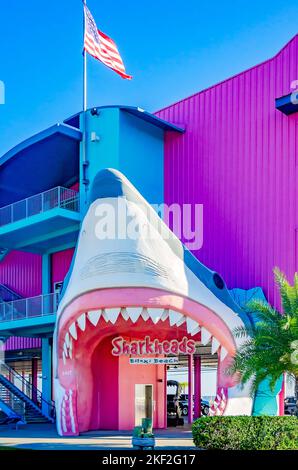 La boutique de souvenirs Sharkheads comprend une entrée à la tête des requins et un bâtiment rose vif, le 13 novembre 2022, à Biloxi, Mississippi. Banque D'Images