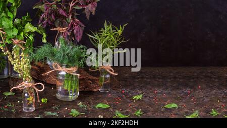 Des petits pains de diverses herbes fraîches comestibles sont en pots sur la table de cuisine, sur fond sombre avec de l'espace pour le texte Banque D'Images