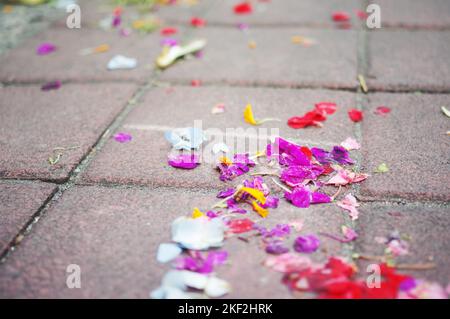 Des pétales de fleurs colorés provenant d'offrandes hindoues parsemés sur le pavé à Seminyak — Bali, Indonésie Banque D'Images