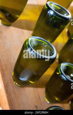 Marcher dans de longues grottes profondes avec des bouteilles poussiéreuses sur des casiers, faire du champagne mousseux à partir de raisins de Chardonnay et pinor noir à Epernay, Banque D'Images