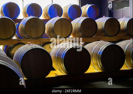 Marcher dans de longues grottes profondes avec des barils en bois, faire du champagne mousseux à partir de chardonnay et pinor noir raisins à Epernay, Champag Banque D'Images