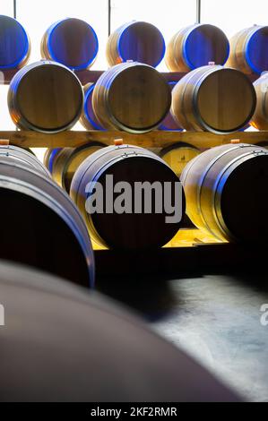 Marcher dans de longues grottes profondes avec des barils en bois, faire du champagne mousseux à partir de chardonnay et pinor noir raisins à Epernay, Champag Banque D'Images