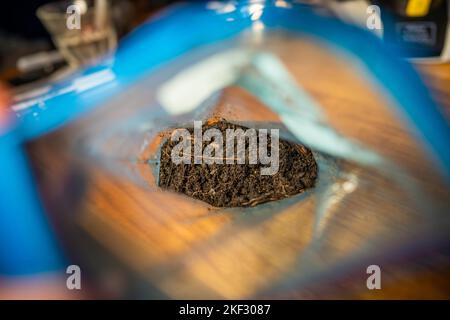 réalisation d'un test de sol dans un laboratoire à domicile. sol sur une table. saleté brune dans un champ. tas de terre et compost Banque D'Images