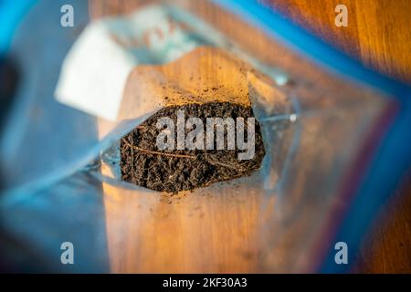 réalisation d'un test de sol dans un laboratoire à domicile. sol sur une table. saleté brune dans un champ. tas de terre et compost Banque D'Images