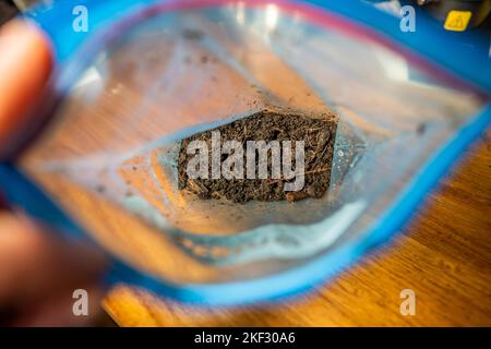 réalisation d'un test de sol dans un laboratoire à domicile. sol sur une table. saleté brune dans un champ. tas de terre et compost Banque D'Images