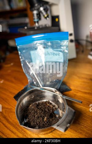 réalisation d'un test de sol dans un laboratoire à domicile. sol sur une table. saleté brune dans un champ. tas de terre et compost Banque D'Images