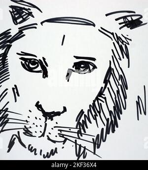 Contour graphique abstrait copic marqueur lion Banque D'Images