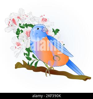 Petit songbirdon Bluebird muguet et blanc rhododendron fond de printemps vintage vecteur illustration modifiable main dessiner Illustration de Vecteur