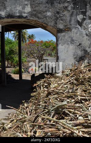 Production de rhum de canne à sucre Caribique île de curaçao Banque D'Images