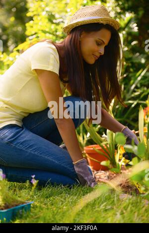 Jeune femme, jardinage et plantes dans la cour, herbe et pelouse pour la durabilité, écologique ou environnement. Dame dans la nature, planter des fleurs et Banque D'Images