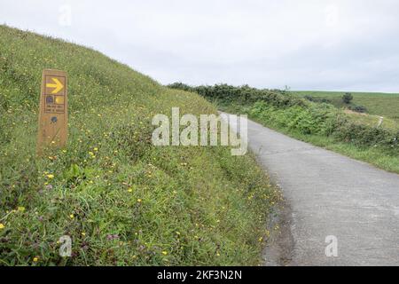 Camino de Santiago (chemin de Saint-Jacques) au pays Basque, Espagne Banque D'Images