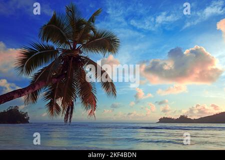Ostafrika, Kokospalme und Granitfelsen am Traumstrand Anse Royal, Insel Mahe, Seychelles Banque D'Images