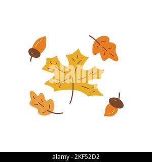 Ensemble de feuilles et d'acornes d'automne. Feuille d'érable et de chêne. Composition d'automne. Motif vectoriel coloré isolé Doodle dessiné à la main. Saison d'impression ou de carte Illustration de Vecteur