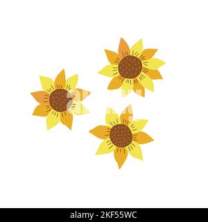 Ensemble de trois tournesols. Motif vectoriel coloré isolé Doodle dessiné à la main. Été belle fleur avec des graines, plante ensoleillée Illustration de Vecteur