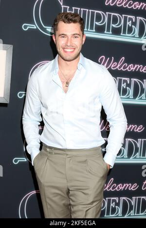 Los Angeles, Californie. 15th novembre 2022. Curtis Pritchard à l'arrivée pour LA BIENVENUE À CHIPPENDALES Premiere, Pacific Design Centre, Los Angeles, CA 15 novembre 2022. Crédit : Priscilla Grant/Everett Collection/Alay Live News Banque D'Images
