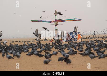 Des colombes ou des pigeons volent dans la marina Beach Chennai. Banque D'Images