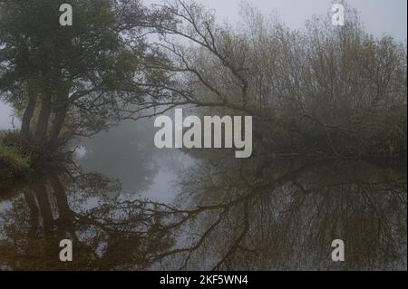 Paysage automnal à Dedham Vale. Arbres colorés au bord de la rivière Stour. Essex - bordure du Suffolk. Banque D'Images