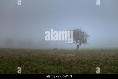 Paysage automnal à Dedham Vale. Arbres colorés au bord de la rivière Stour. Essex - bordure du Suffolk. Banque D'Images