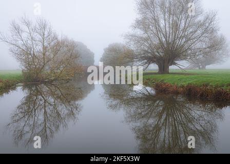 Paysage automnal à Dedham Vale. Arbres colorés au bord de la rivière Stour. Essex - bordure du Suffolk. Banque D'Images