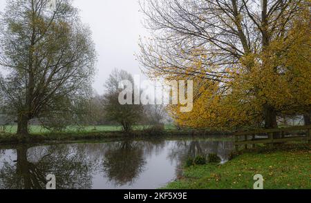 Paysage automnal à Dedham Vale. Arbres colorés au bord de la rivière Stour. Essex - bordure du Suffolk. Banque D'Images