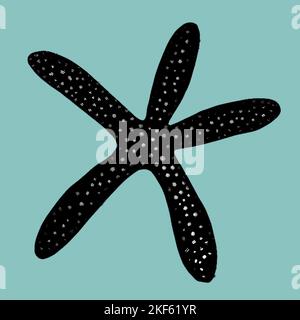 une gravure graphique d'une étoile de mer. Illustration réaliste en noir et blanc de l'étoile de mer Banque D'Images