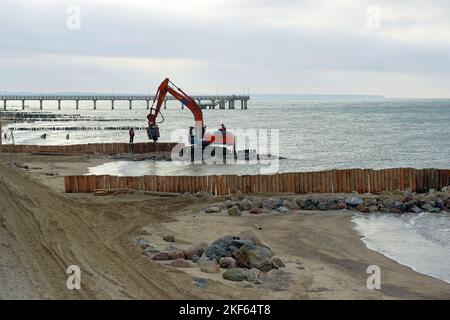 Zelenogradsk, Russie - 15 octobre 2016. Construction de coupe-eau à partir de troncs d'arbre sur le bord de mer Banque D'Images