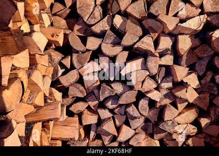 Grumes, poutres, bois de chauffage, cadre. Beaucoup de bois. Arrière-plan en bois de bois. Journalisation Banque D'Images
