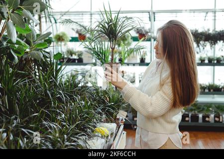 La femme choisit la plante à la maison en pot dans le magasin de serre. Jardinage à la maison, amour des plantes et des soins Banque D'Images