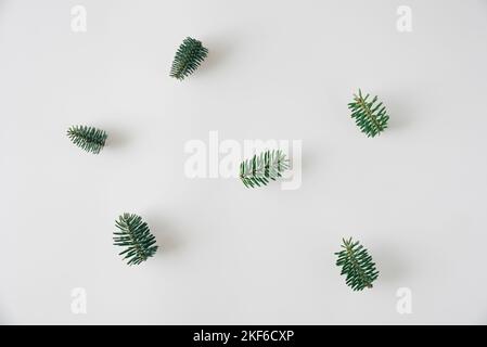 Les extrémités des branches naturelles d'épinette ressemblent à de petits arbres de Noël. Concept de Noël minimaliste. Modèle de nouvelle année. Banque D'Images
