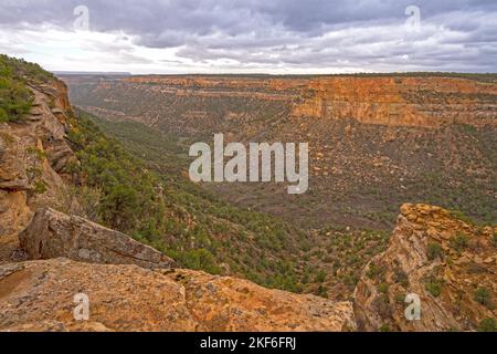 Falaises et canyons dans les quartiers ouest de Mesa Verde National Park, Colorado Banque D'Images