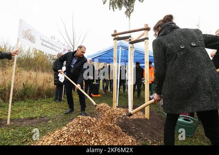 Weimar, Allemagne. 16th novembre 2022. Peter Kleine, (non-parti), Lord Mayor of Weimar, plante un des sept arbres de la campagne de plantation d'arbres '1000 Buchen' avec des participants à un événement. Les arbres ont été plantés comme un symbole en mémoire des victimes du camp de concentration nazi Buchenwald et des soi-disant «marches de mort». Les arbres font partie du projet '1000 Buchen' et ont été initialement destinés à remplacer plusieurs arbres commémoratifs détruits à l'été 2022. Credit: Bodo Schackow/dpa/Alay Live News Banque D'Images