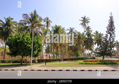 Sultan Qaboos bin Said Al-Husn Palace à Salalah, province de Dhofar en Oman Banque D'Images