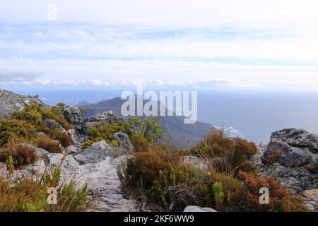 Une vue générale des sauts arrière de Table Mountain vus dans la lumière du soir. Le Cap en Afrique du Sud. Banque D'Images