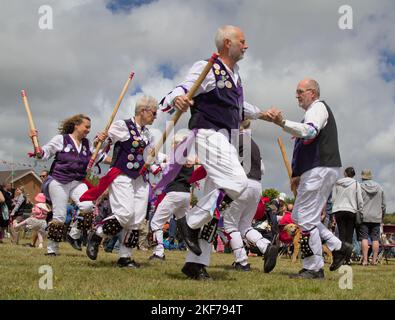 Morris Dancers en vêtements en chiffons violets Dancing with Sticks, New Forest UK Banque D'Images