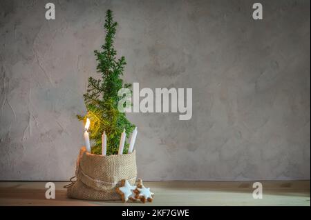 Autre couronne de l'Avent, une bougie allumée d'une flamme sur une petite plante de conifères comme symbole d'arbre de Noël, grand espace de copie Banque D'Images